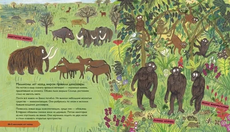 История людей. Моя первая книга о человечестве