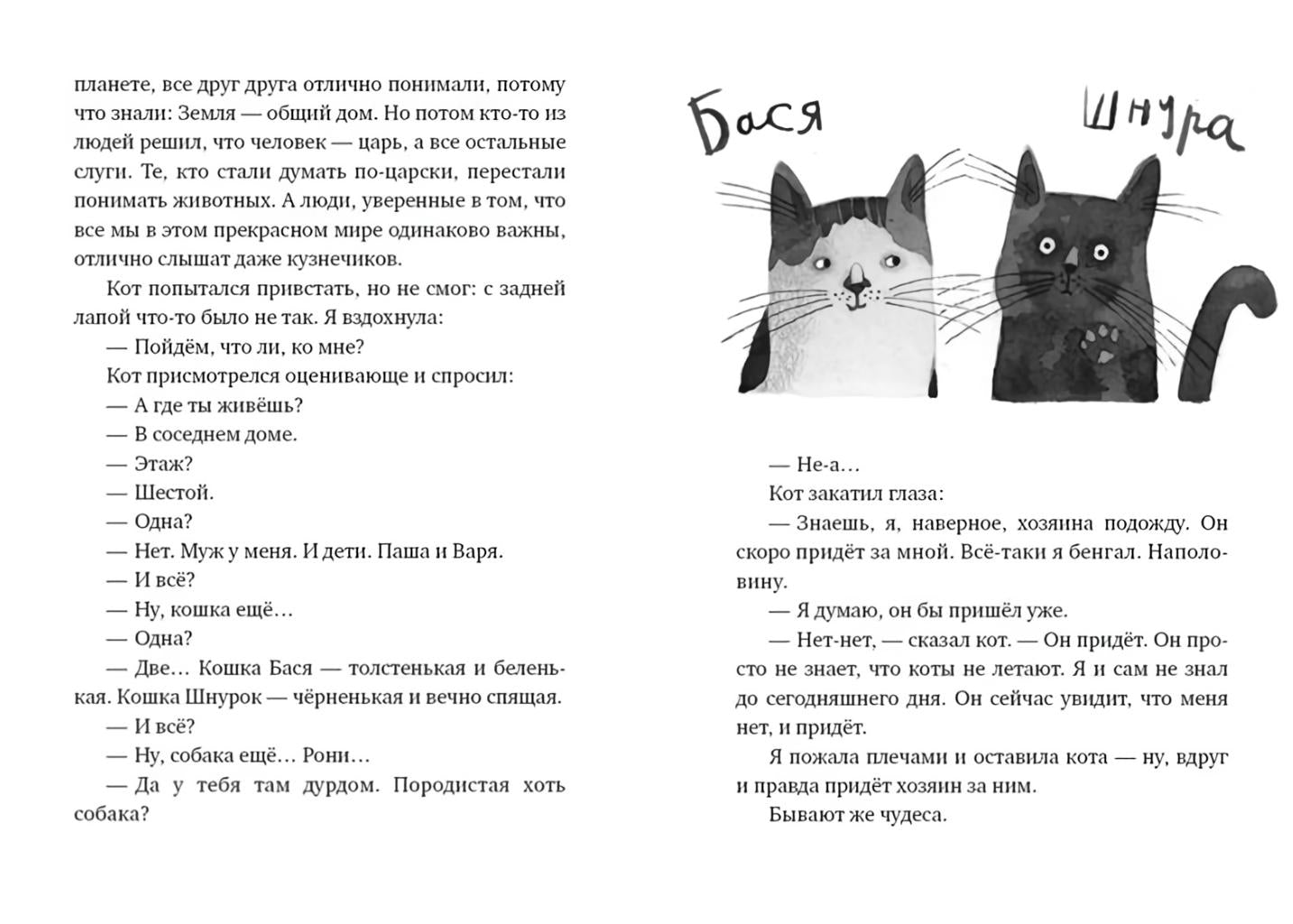 Кот прямо с неба