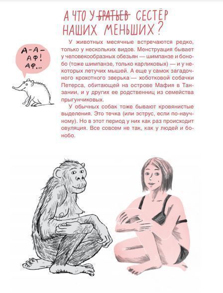 Месячные: твое личное приключение