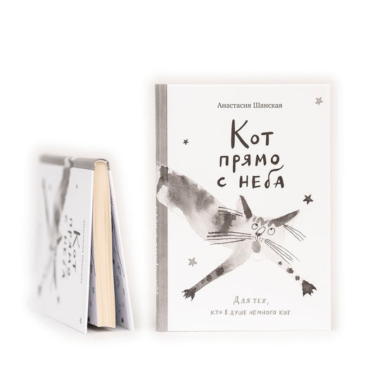 Кот прямо с неба