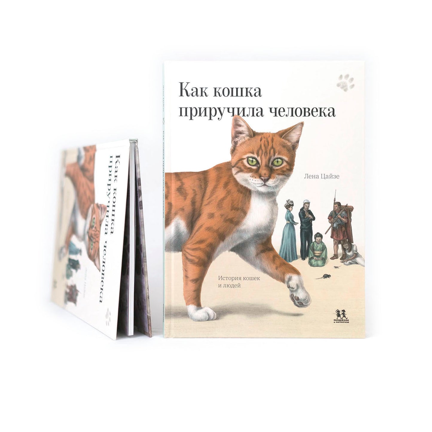 Как кошка приручила человека: история кошек и людей