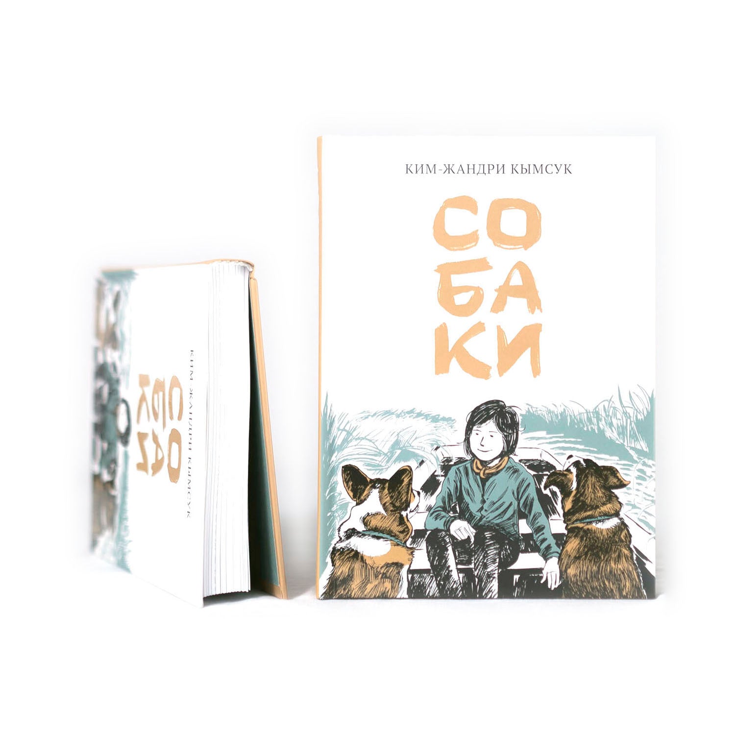 Собаки