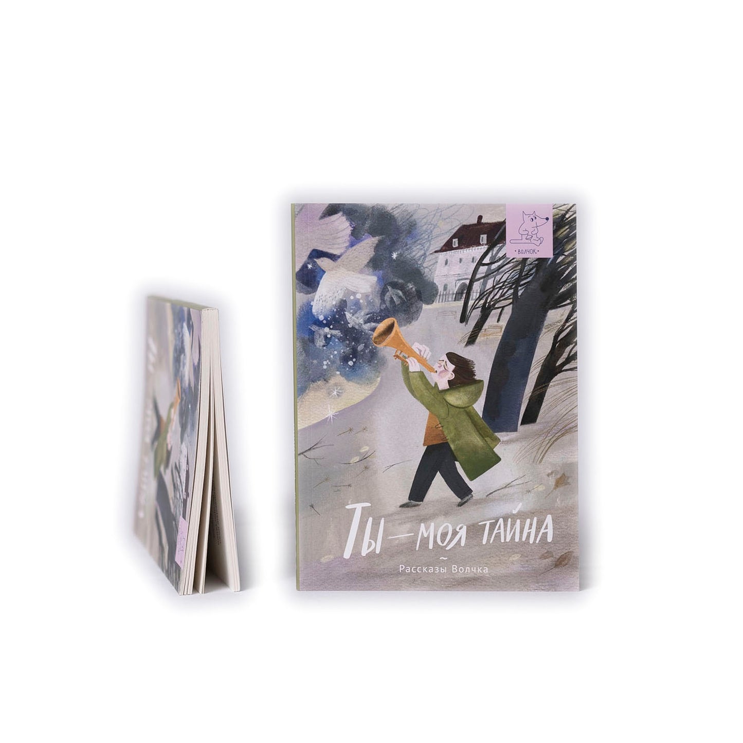 Ты - моя тайна