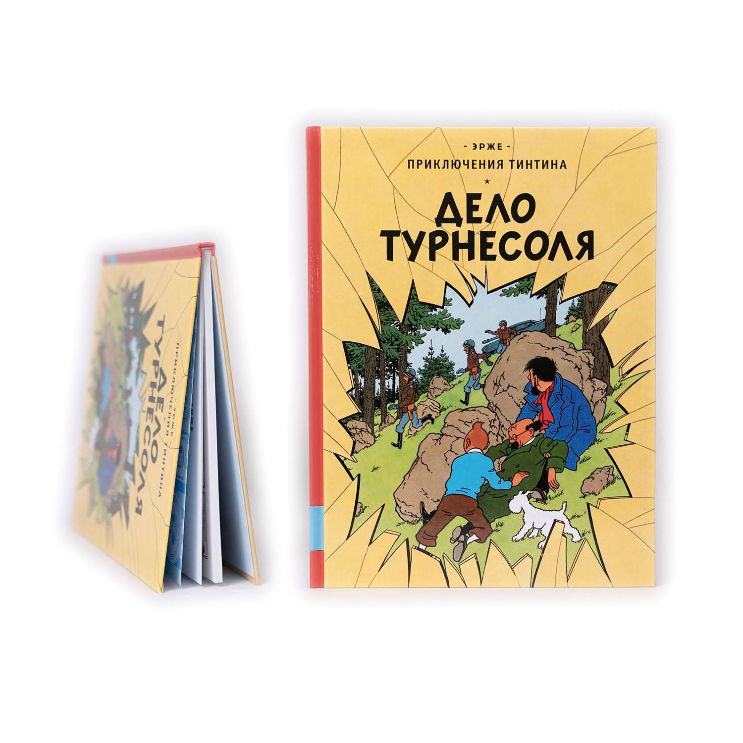 Дело Турнесоля