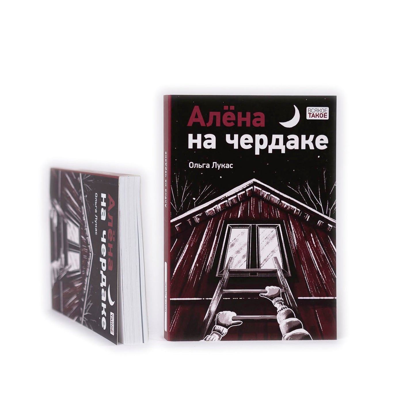 Алёна на чердаке