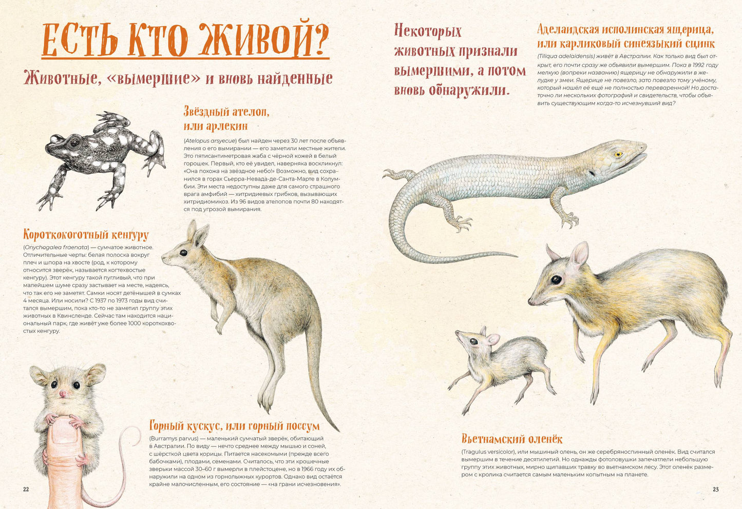 На грани исчезновения: животный мир Земли