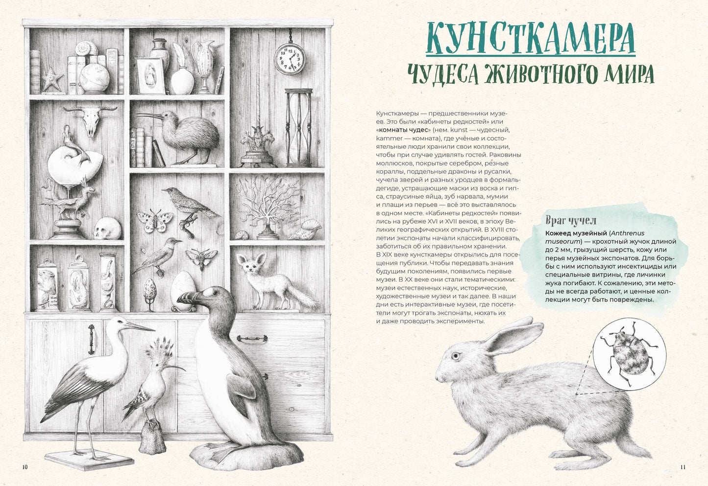 На грани исчезновения: животный мир Земли