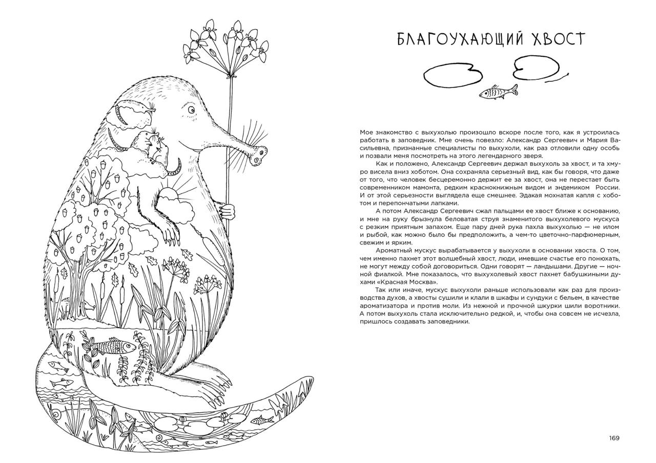 Про кабанов, бобров и выхухолей