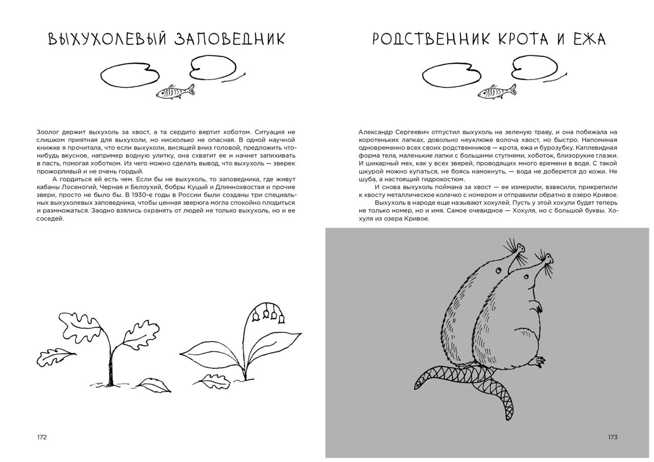 Про кабанов, бобров и выхухолей