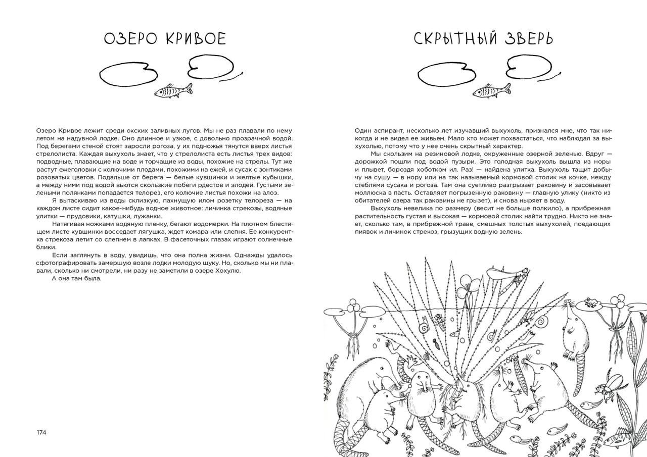 Про кабанов, бобров и выхухолей