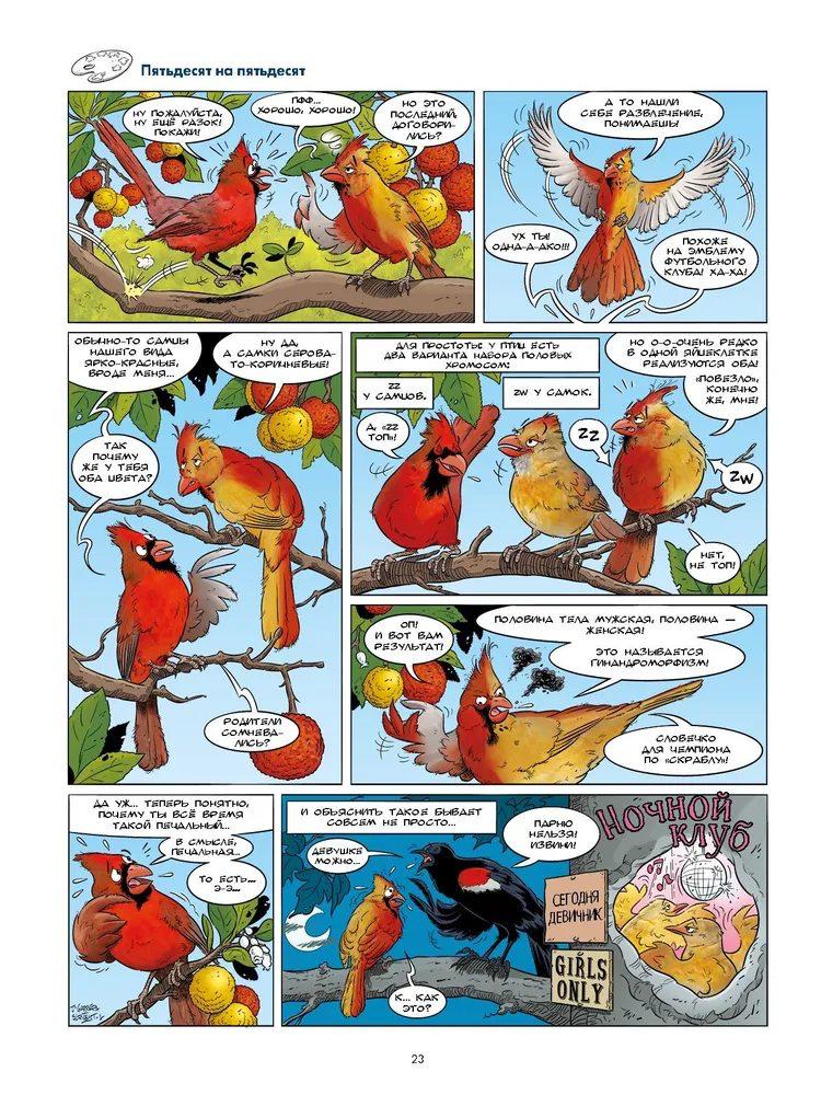 Птицы в комиксах. Том 3