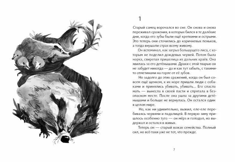 Барсук