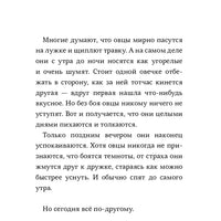 Последняя овца