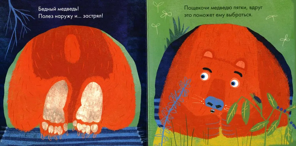 Бедный медведь