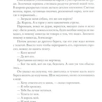 Королевство Краеугольного Камня. Отвага. Книга IV