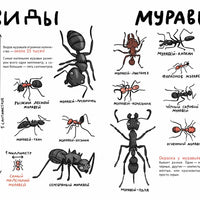 Микросупергерои. Самые умные