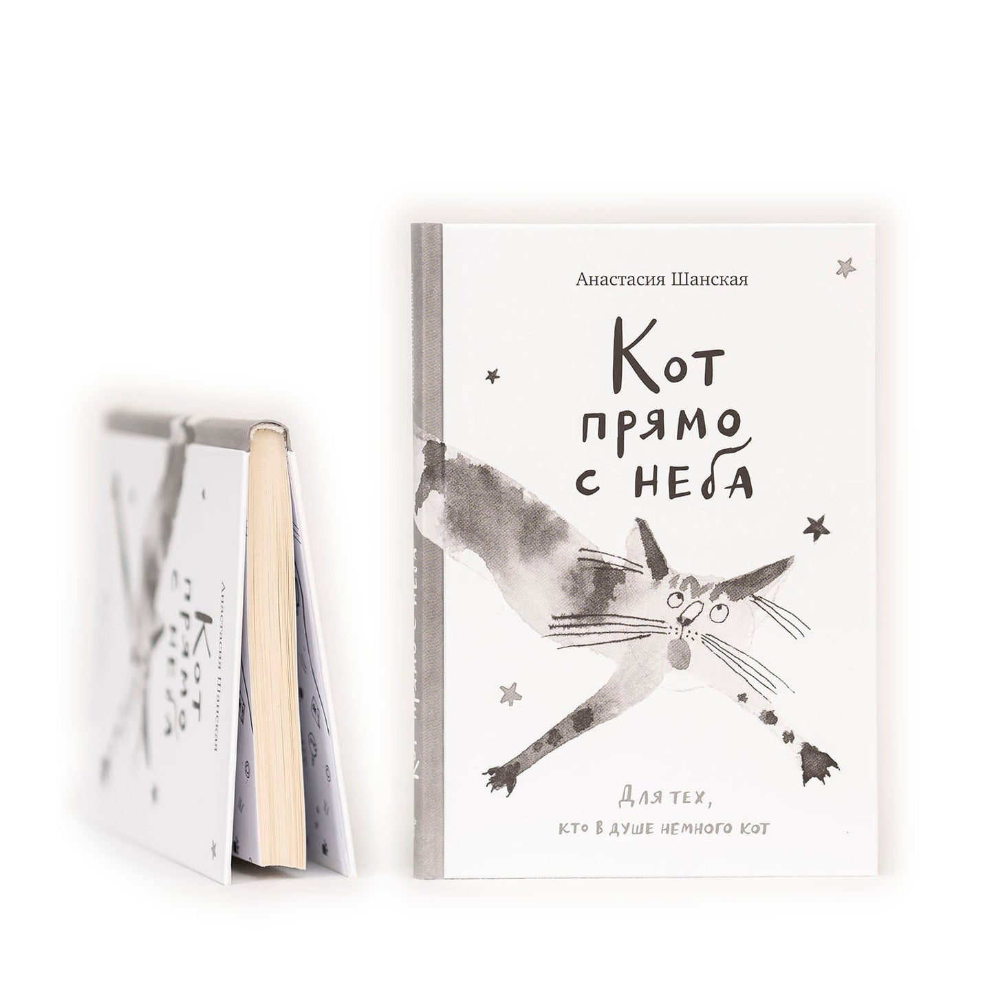 Кот прямо с неба