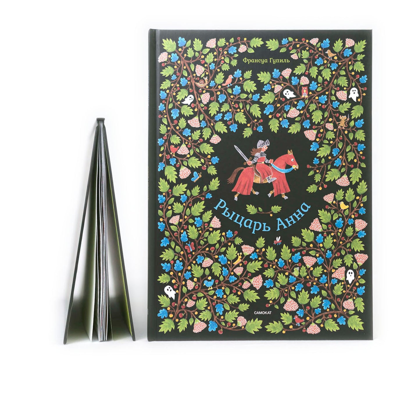 Рыцарь Анна