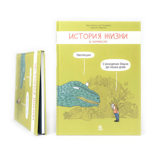 История жизни в комиксах