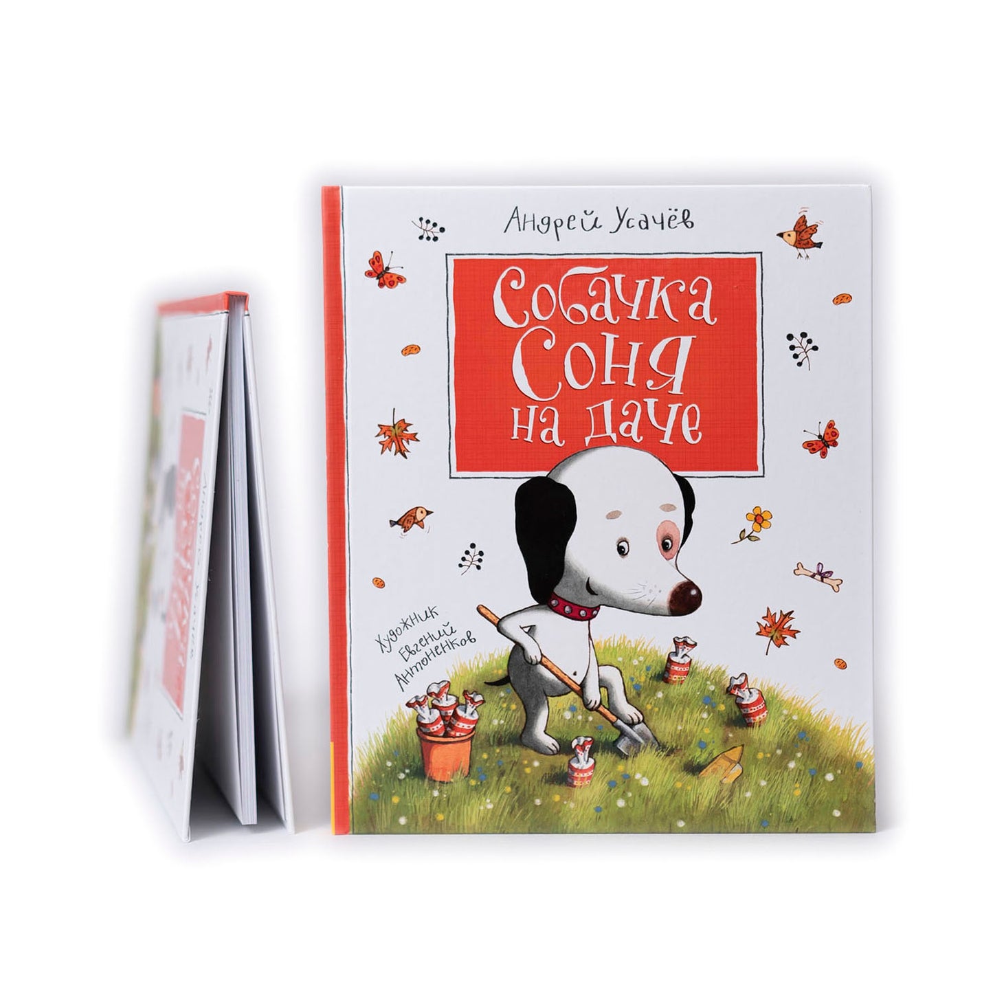 Собачка Соня на даче