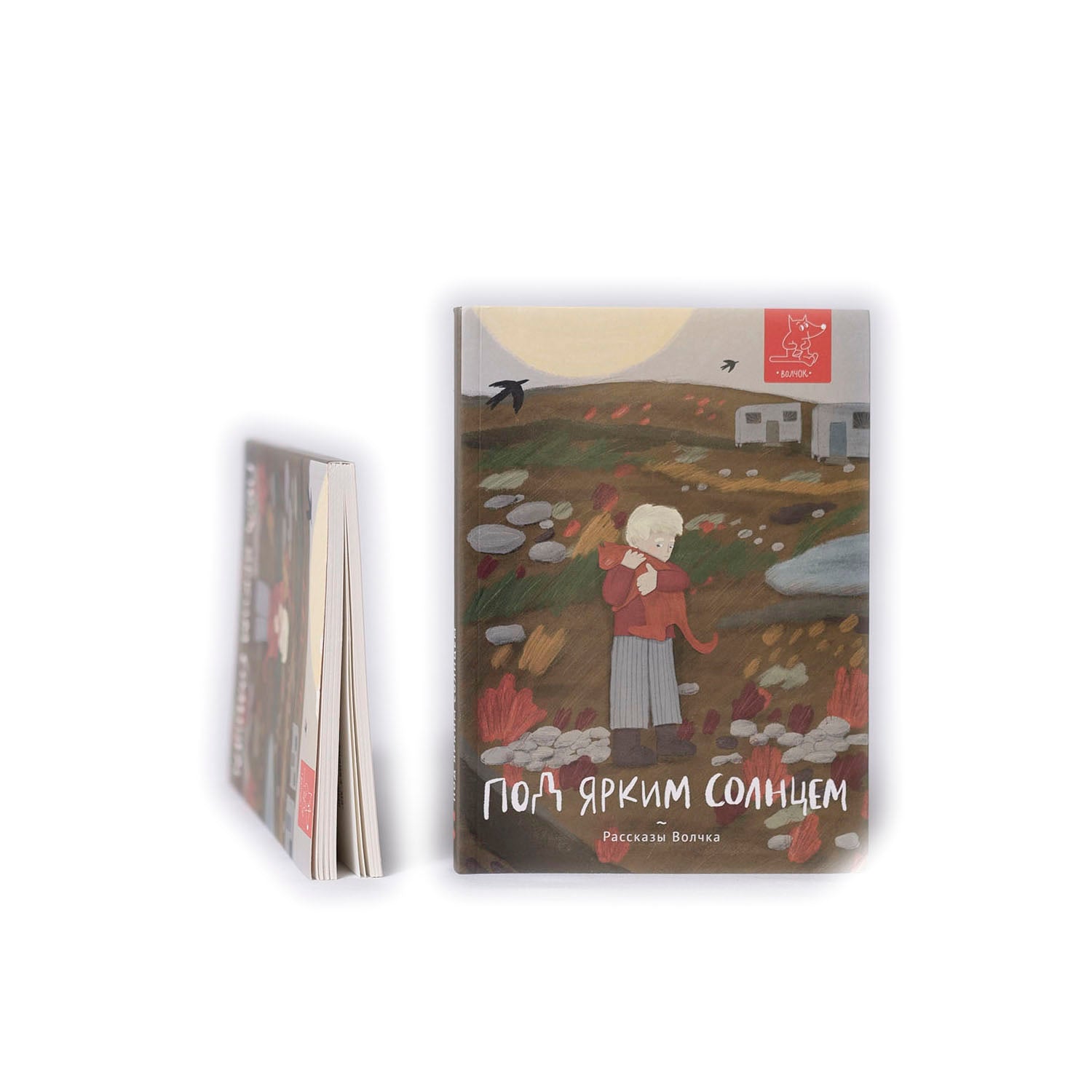 Рассказы Волчка. Второй набор. Комплект из 5-ти книг