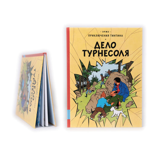 Дело Турнесоля