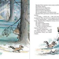 Крошка енот и тот, кто сидит в пруду