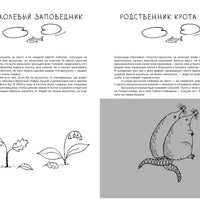 Про кабанов, бобров и выхухолей