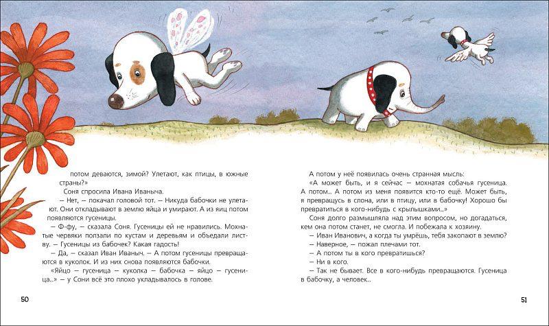Собачка Соня на даче