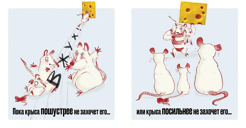 Сыр ваш!