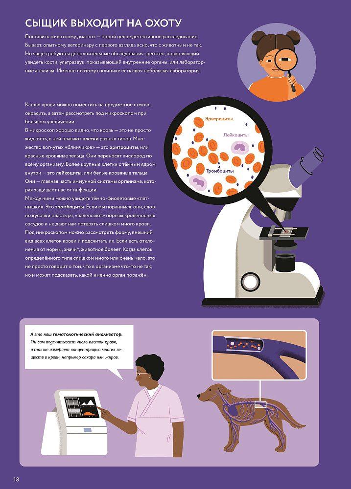У ветеринара: как устроена медицина для животных