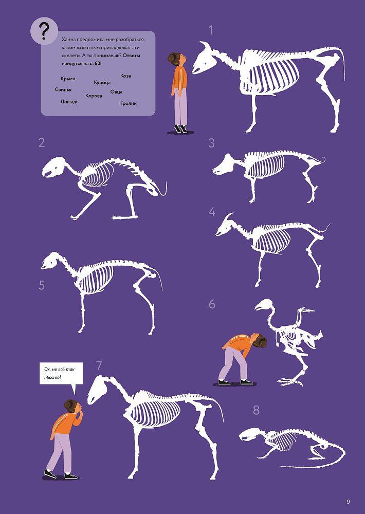 У ветеринара: как устроена медицина для животных