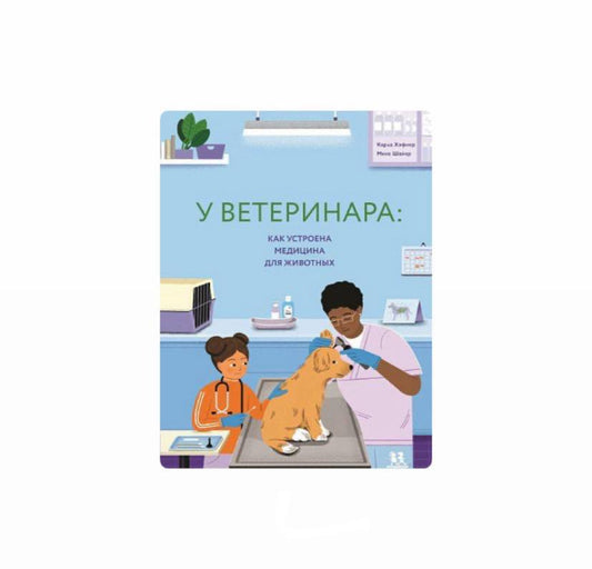 У ветеринара: как устроена медицина для животных