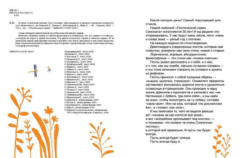 В очень Солнечной системе. Год с поэтами