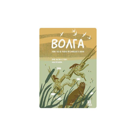Волга: один год из жизни пресноводного биома