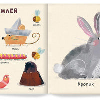 Мои первые животные