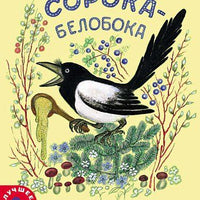 Сорока-белобока