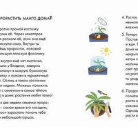 Я знаю, что я ем! Фрукты