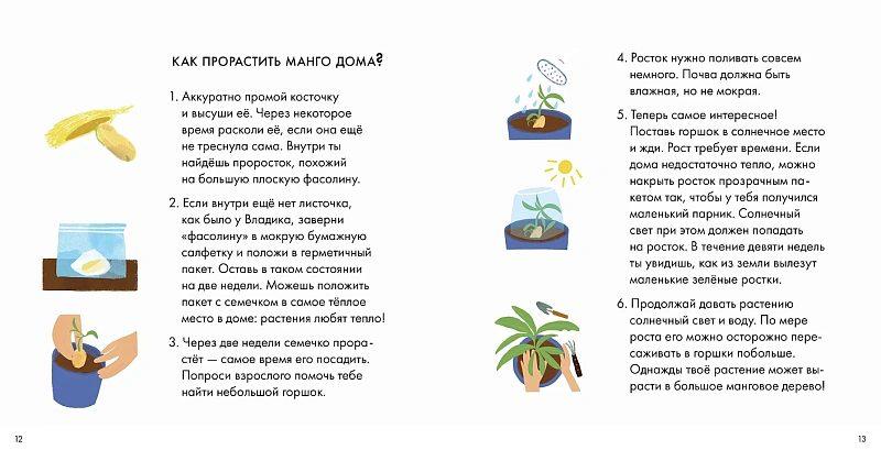 Я знаю, что я ем! Фрукты