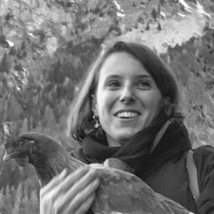 Пинтонато Камилла